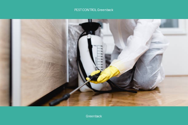 PEST CONTROL Greenback